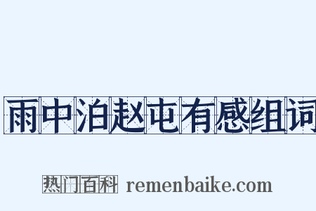 雨中泊赵屯有感组词是什么意思的图片
